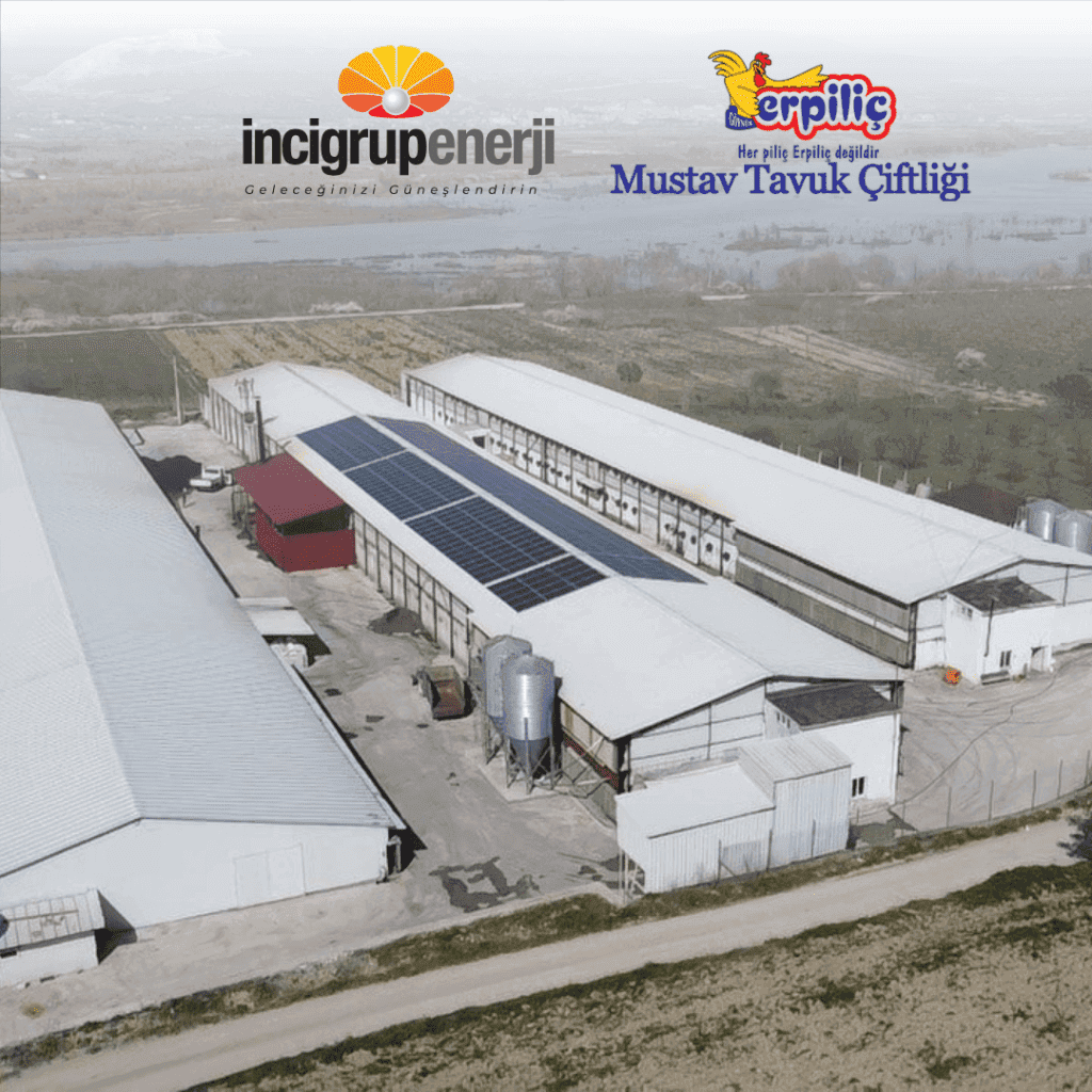 Erpiliç Mustav Tavuk Çiftliği
